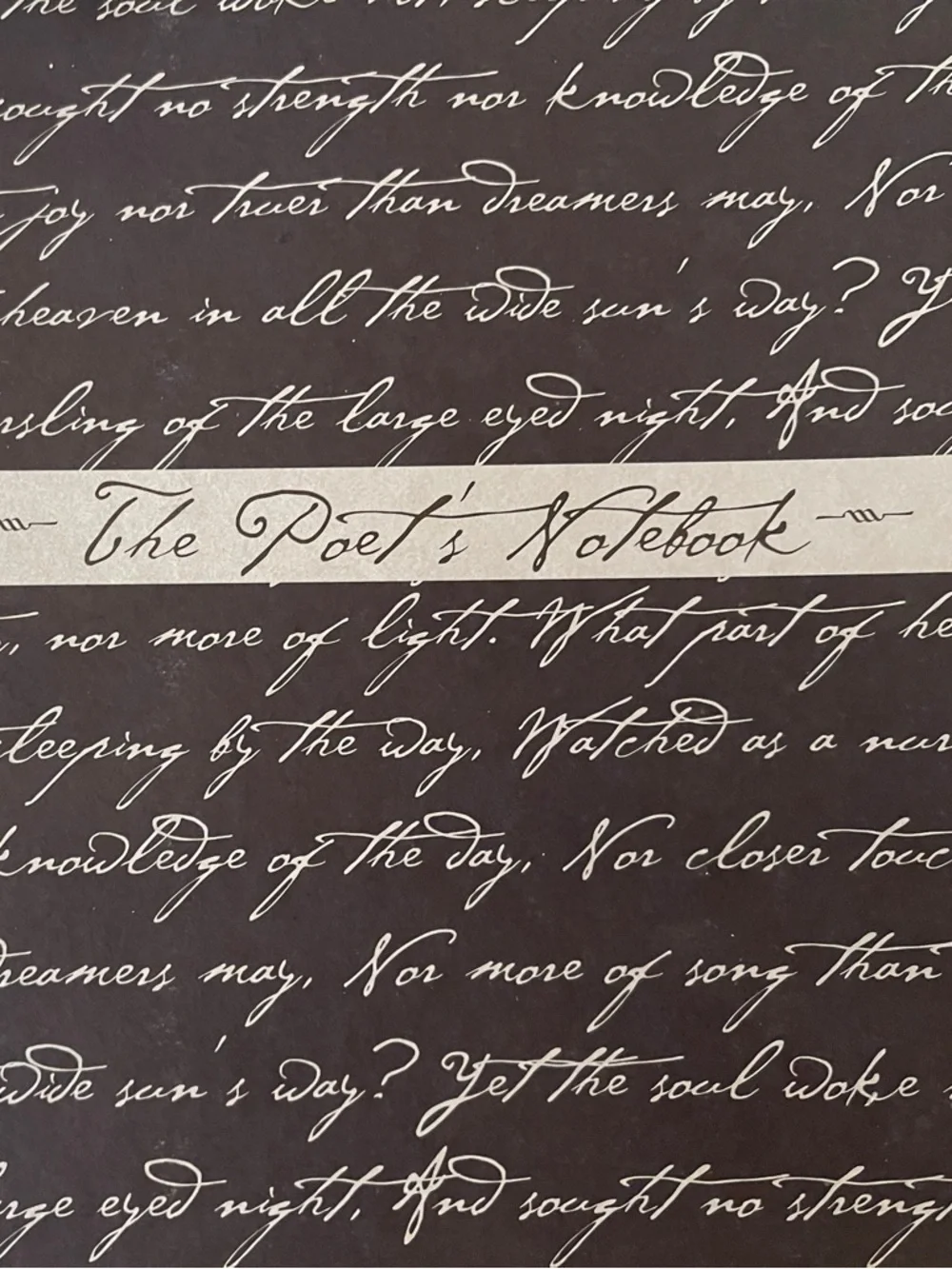 Y2K Poet Notebook - Picture 1 of 15
